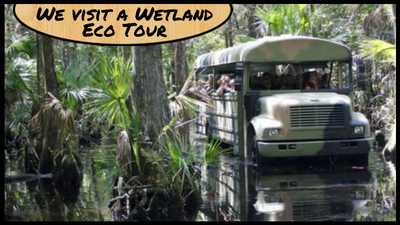 Featured Image - Babcock Ranch Eco Tour, Visiting Florida Punta Gorda, Sailing in Punta Gorda, See Alligators, Sailing with Kids, Camping with Kids in Florida
